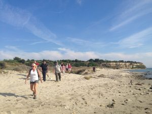 Çanakkale Rehberlik Hizmeti 12