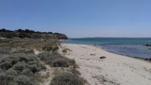 Tekke Koyu Plajı