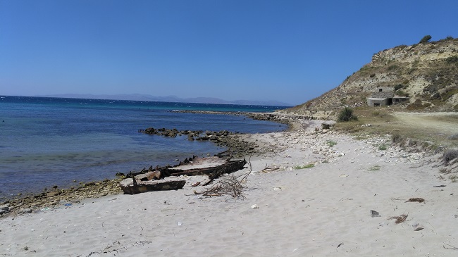 Tekke Koyu